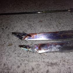 満月　大潮はいまいちか