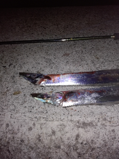 満月　大潮はいまいちか