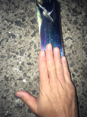 北風ピューピュー