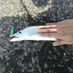 ダイソージグで！