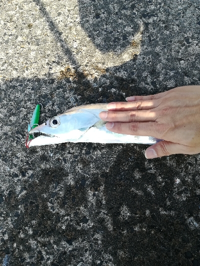 ダイソージグで！