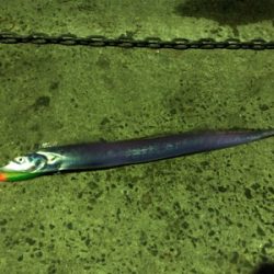 ちょっと大きく