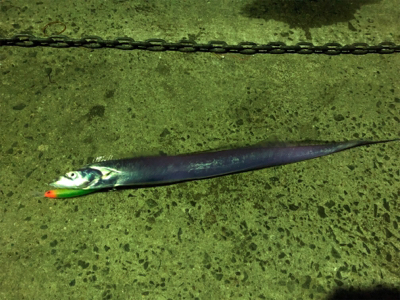 ちょっと大きく