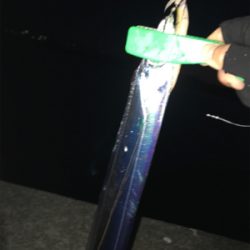 安定のタッチポン 陸