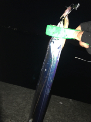 安定のタッチポン 陸