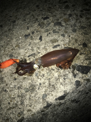 初めてのヒイカゲーム