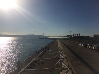 シラサカゴの定番ゲスト登場