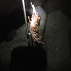 なかなか難しい