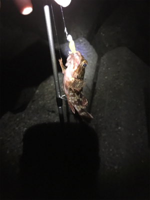 なかなか難しい