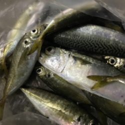 今夜は絶好調！