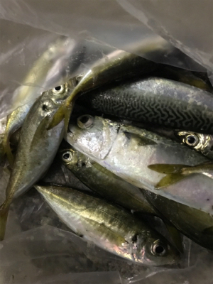 今夜は絶好調！