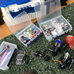 青物飽きた。次はギガアジメバル