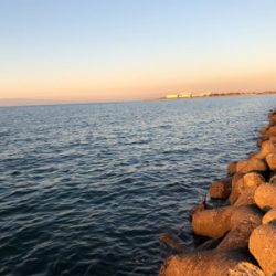 メバリング始動