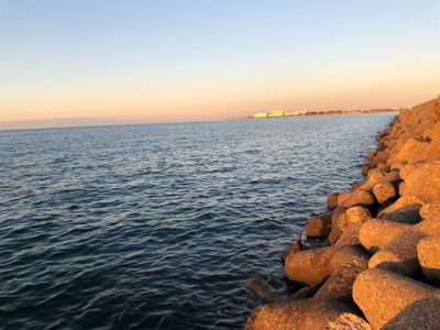 メバリング始動