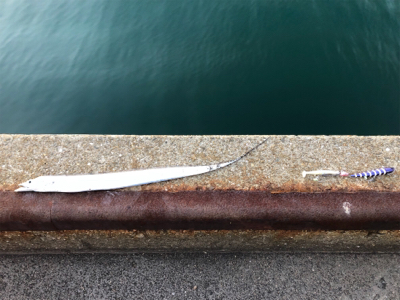 ドラゴンを求めて_:(´ཀ`」 ∠):