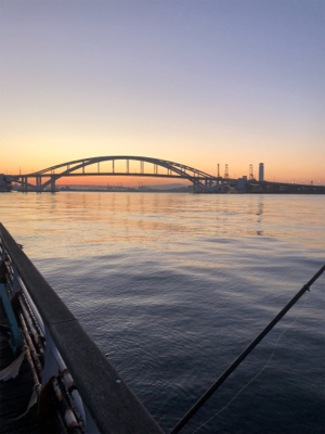 ポツポツ釣れてました