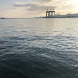 大在公共埠頭 ジグサビキ