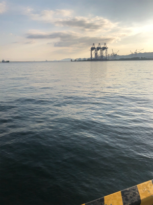 大在公共埠頭 ジグサビキ