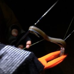 あまり釣れませんでした。