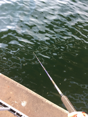 オクトパッシング