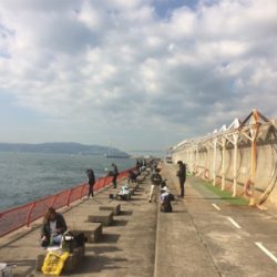 投げる・流す・スポン！