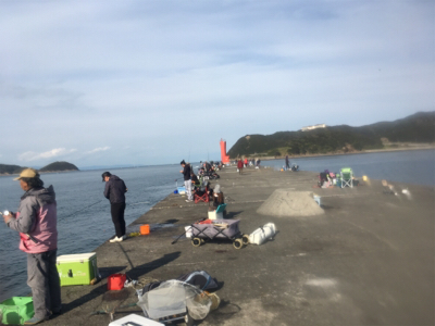 アジが私だけ釣れない(苦笑)