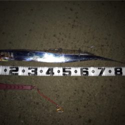 アカン、パターン！