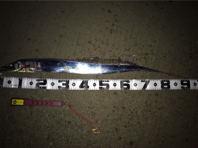 アカン、パターン！