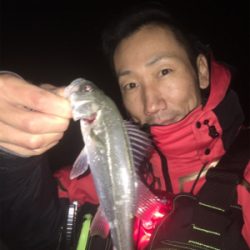 メバリングナイトゲーム☆GUNNING-STYLE