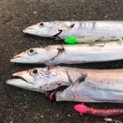 またほぼドラゴンゲット!