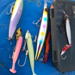 太刀魚撃沈、チビシーバス