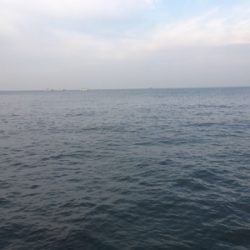 ほぼとんぼ返り