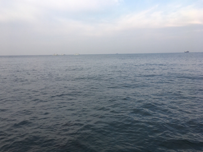 ほぼとんぼ返り