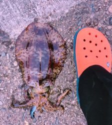 500のペットボトルよりは重いかな