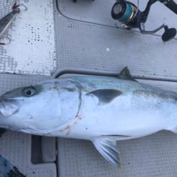 ヒラマサキャスティング