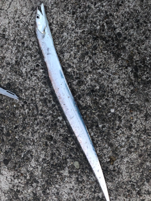 3度目の武庫一…今日は一人で