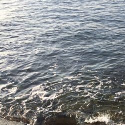 シーバサー0635〜0735メバリスト1810〜1846