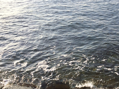 シーバサー0635〜0735メバリスト1810〜1846