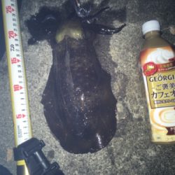 徐々にウネリが