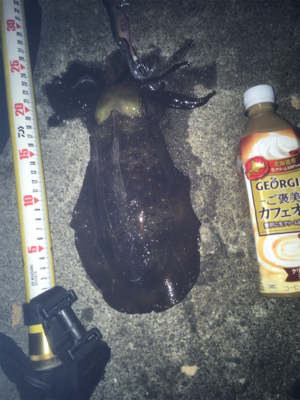 徐々にウネリが