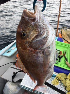 マイボートで丹後タイラバ釣行