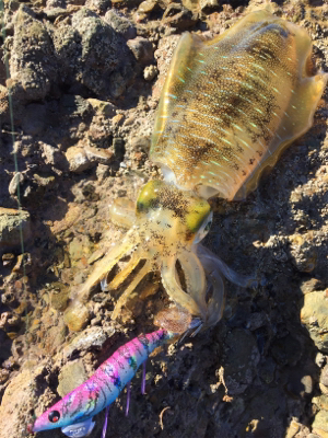 一瞬だけ高活性