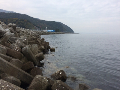 大浦漁港でイワシ・タチウオ