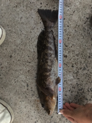 プライベートボートで 松島湾ボートロック