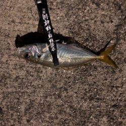 完敗からの安パイ