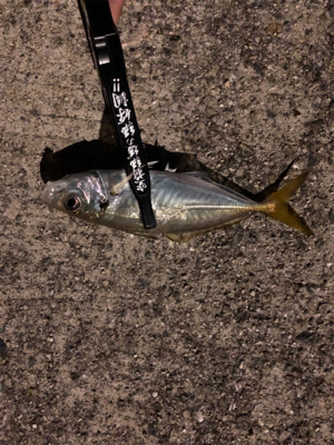 完敗からの安パイ