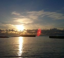 なんとか釣れました