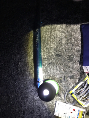 ハピソンかっ飛びボールでタチウオ５本