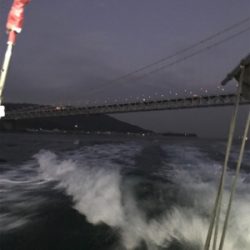 ジギング船釣行