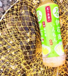 可愛い〜カレイ